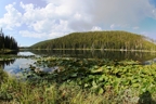 Image 1-1