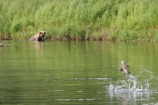 Image 3-12