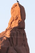 Image 9-20