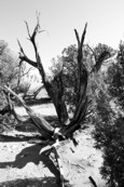Image 9-27