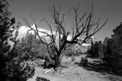 Image 9-28